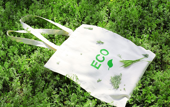 Eco-Friendly-Material-Selection