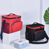Portable Outdoor Insulated Cooler Bag for Cold Drinks, Food Storage, Camping and Travel