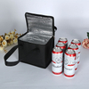 Portable Insulated Lunch Cooler Bag with Beverage Storage Compartment for Food and Drinks