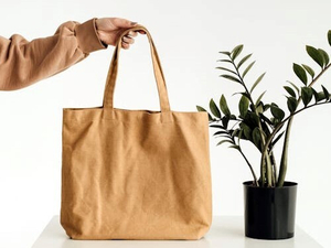 2_canvas_tote_bag_manufacturer.jpg