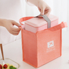 Minimalist Printed Insulated Lunch Bag with Handle for Portable Food and Beverage Storage