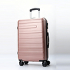 Spinner Suitcase with TSA Lock | Lightweight Expandable Carry-On & Checked Luggage