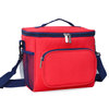 Portable Outdoor Insulated Cooler Bag for Cold Drinks, Food Storage, Camping and Travel